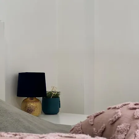 Palkin Cozy
