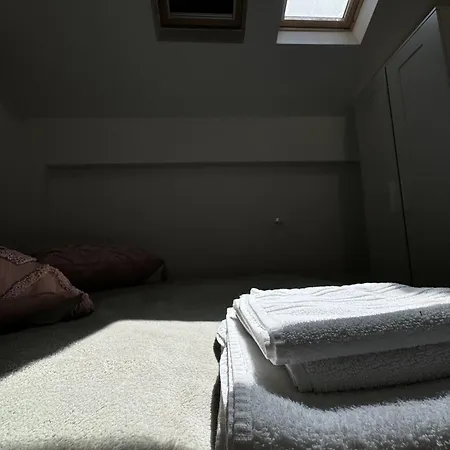 Palkin Cozy Apartment *
